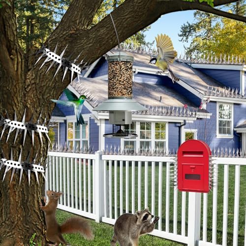 Bird Spikes 65 FT Anti Climb Spikes Stainless Steel Bird Squirrel Deterrent | Acts as squirrel baffles for bird feeders, stops squirrels stealing bird food - size: 65 FT