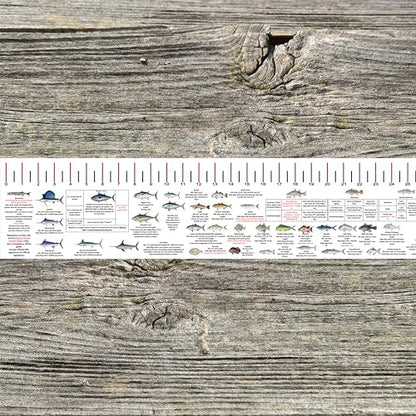 STATE COASTAL FISH RULER with FISH ID and FISHING REGULATIONS - 50 INCH RULER DECALS - style: Florida Atlantic Coast