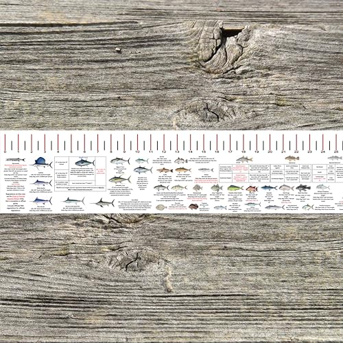 STATE COASTAL FISH RULER with FISH ID and FISHING REGULATIONS - 50 INCH RULER DECALS - style: Florida Atlantic Coast