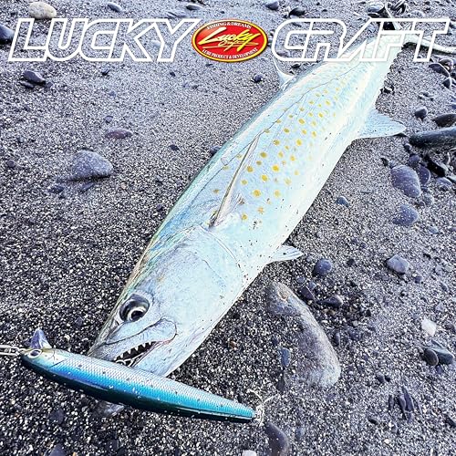LUCKY CRAFT FlashMinnow 130MRS Saltwater Fishing Lures, Jerkbait for Halibut and Bass Fish, Slow Sinking 2-4ft, Surf Fishing Gear and Tackle Box Accessories - color: 702 Zebra Sardine