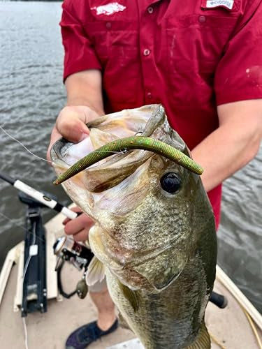 Yum Lures Dinger 5" Bulk 30-Pack - color: Morning Dawn, size: 5 Inch